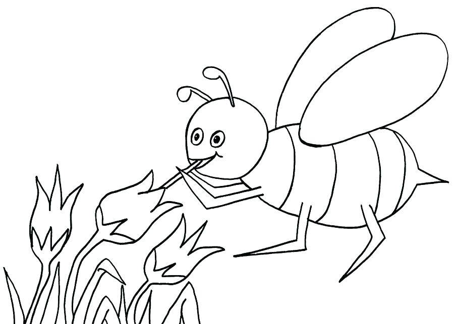 900x643 Bumble Bee Coloring Bumblebee Coloring Pages Sheets Bumble Bee