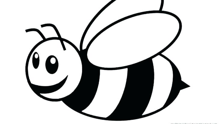 728x413 How To Draw A Bumblebee Medium Size Of Bumblebee Colouring Sheet
