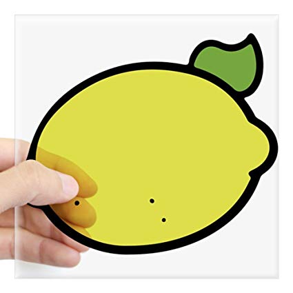425x425 cafepress lemon drawing sticker square bumper sticker