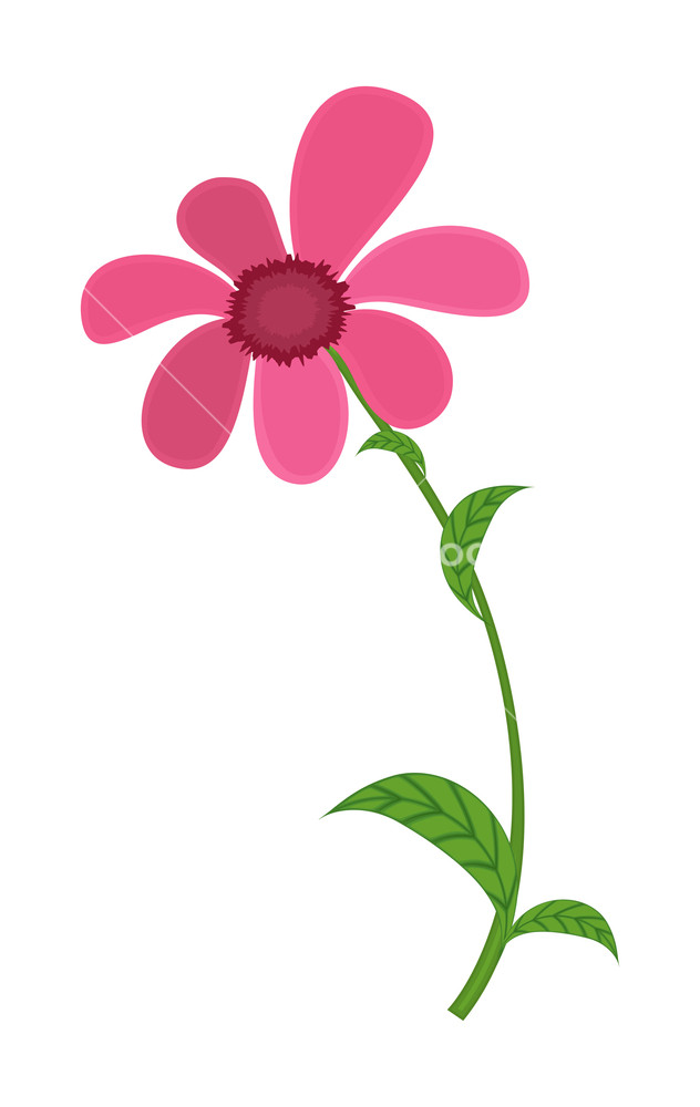 632x1000 Pink Flower Drawing Art Royalty Free Stock Image