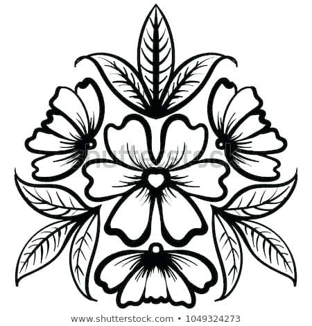 450x470 Rose Flower Drawing Rose Flower Drawing Image