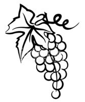 167x200 Bunch Of Grapes Simple Drawing With Leaf Swirly Vine Stock Vectors