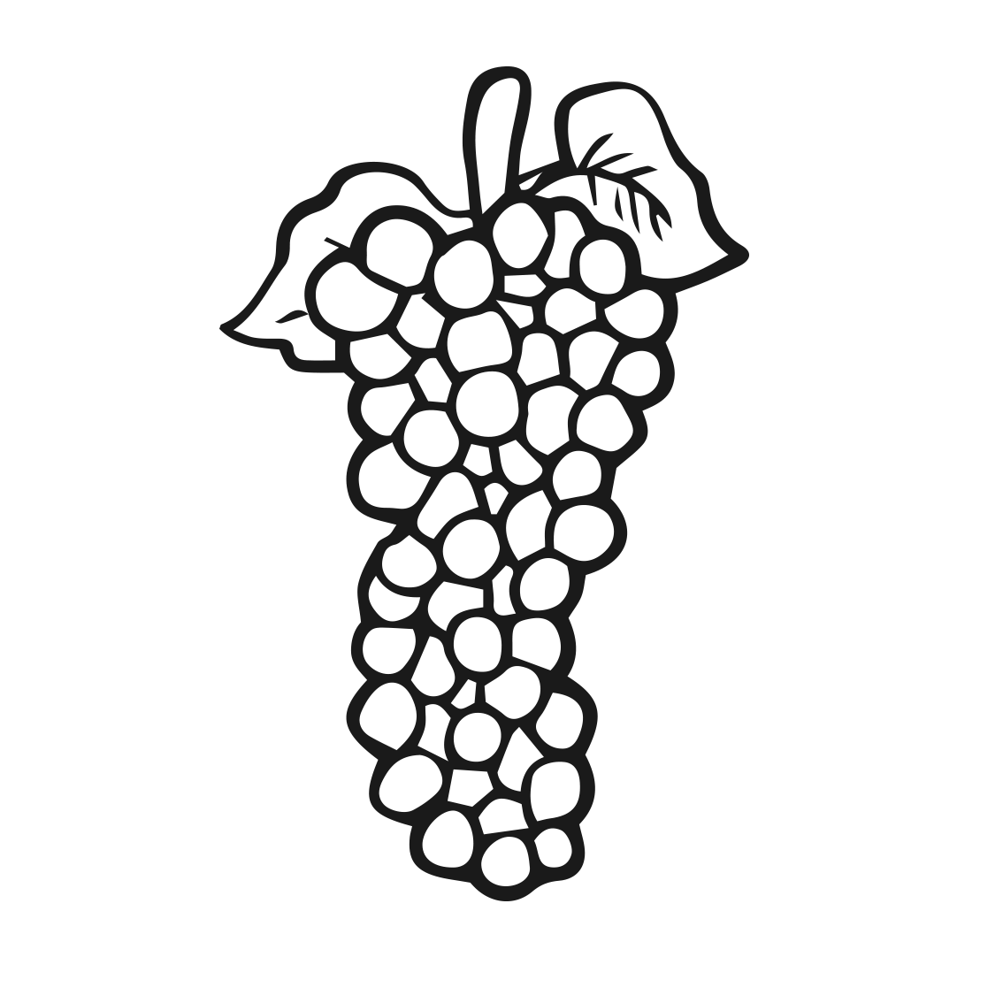 1134x1134 Collection Of Free Grapes Drawing Watermelon Download On Ui Ex