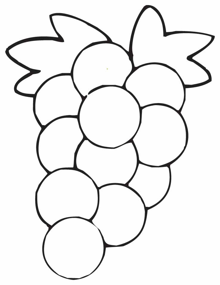 738x954 maxresdefault or how to draw a bunch of grapes