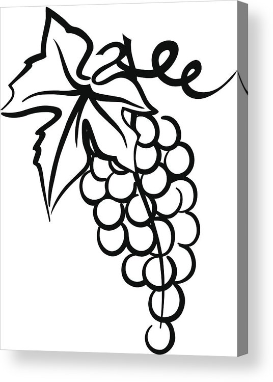 536x750 Bunch Of Grapes Simple Drawing With Leaf Swirly Vine Acrylic Print