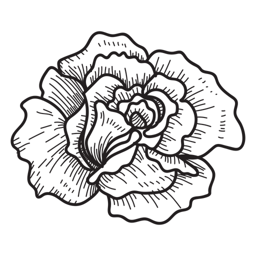 512x512 Rose Drawing Download Free Clipart With A Transparent Background