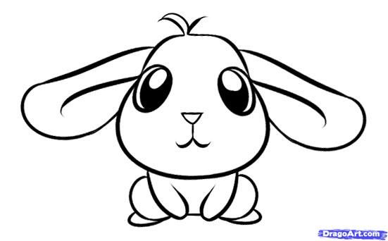 551x342 Drawings Bunny Drawing, Cartoon Drawings