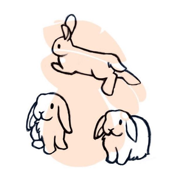 640x640 And Yet More Bunny Doodles