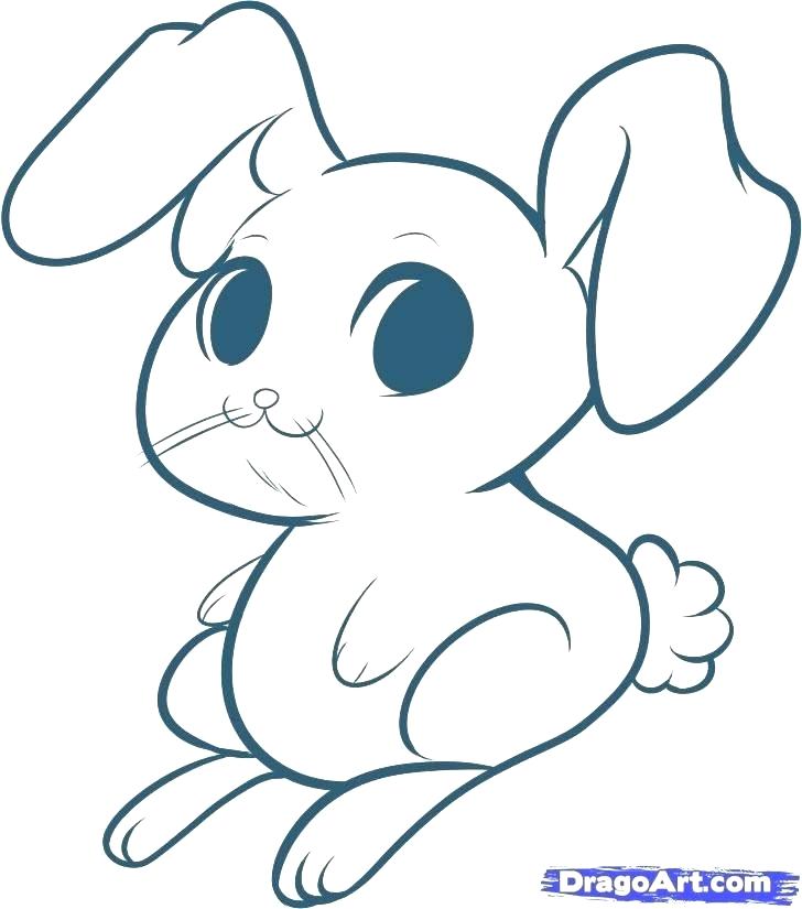 728x825 Easy Bunny Drawings Image Result For Cute And Easy Bunny Drawings