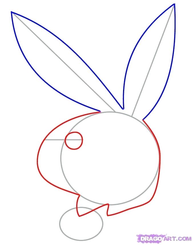 676x860 How Do You Draw A Bunny Rabbit Drawing Bunny Easy Drawing Rabbits