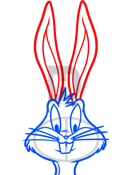 538x720 How To Draw Bugs Bunny Easy, Step