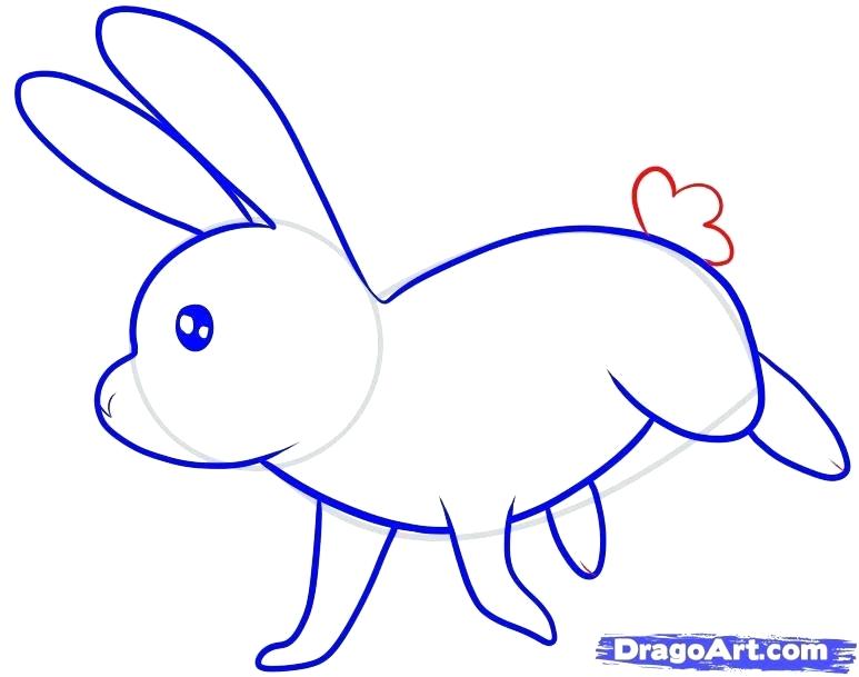 773x609 Easy To Draw Bunny