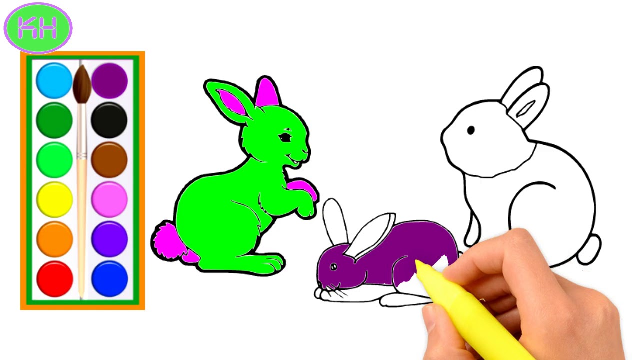 1280x720 How To Draw A Rabbit Bunny For Kids Rabbit Bunny Drawing