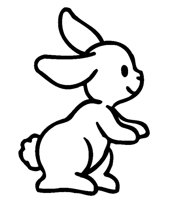 612x652 Bunny Drawing Easy Cute Step