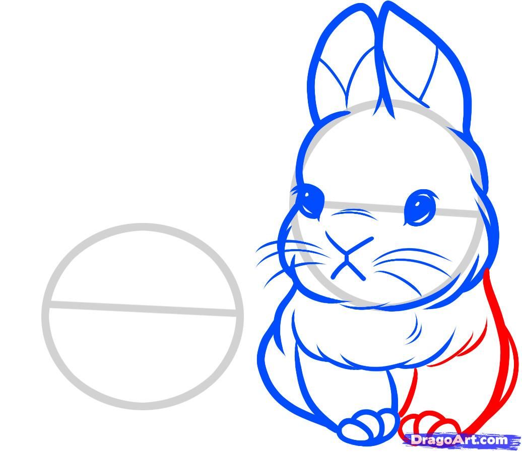 1036x898 How To Draw A Bunny Face How To Draw Baby Rabbits, Baby Rabbits