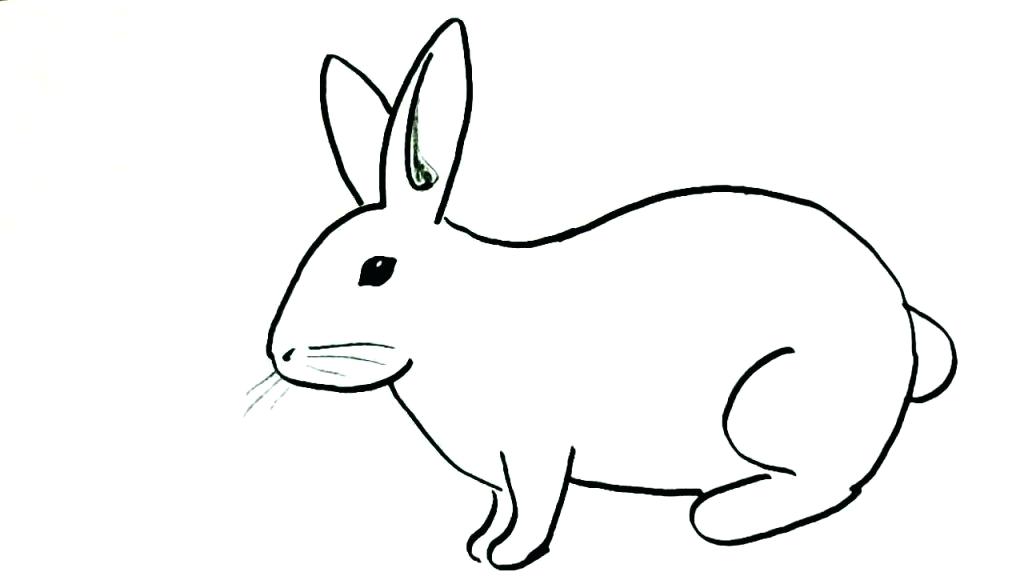 1024x576 easy to draw bunny bunny easy to draw perfect simple bunny drawing