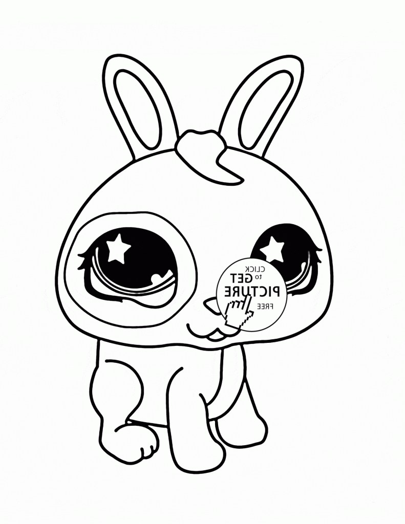 791x1024 Rabbit Head Drawing At Getdrawings Com Free For Personal Use Cute