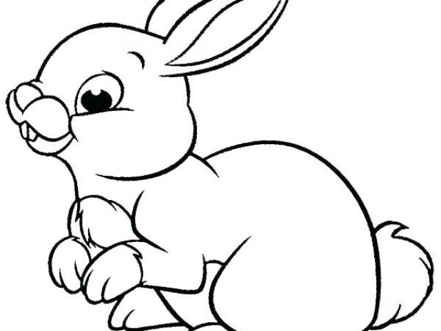 640x480 Drawn Bunny