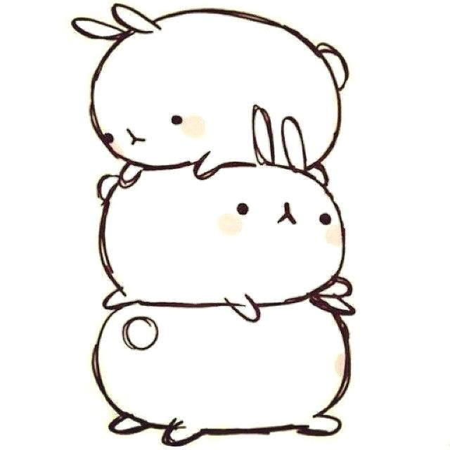 640x640 Bunny Drawing