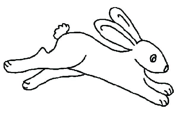 Bunny Outline Drawing | Free download on ClipArtMag