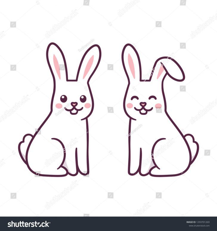 728x777 Cute Bunny Rabbit Drawing Line Step