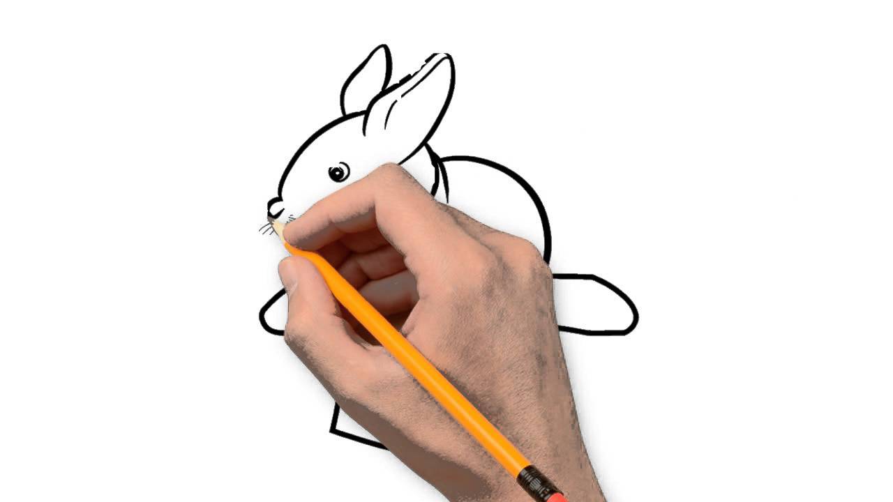 1280x720 Bunny Animals Pencil To Draw Step