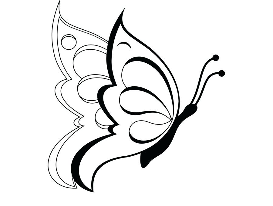 900x680 Drawing Of A Butterfly Pencil Drawing Butterfly Images