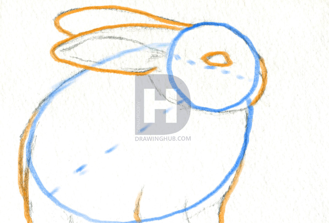 1061x720 How To Sketch A Rabbit, Step