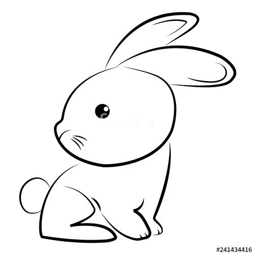 500x500 Simple Bunny Drawing Simple Bunny Drawing Step