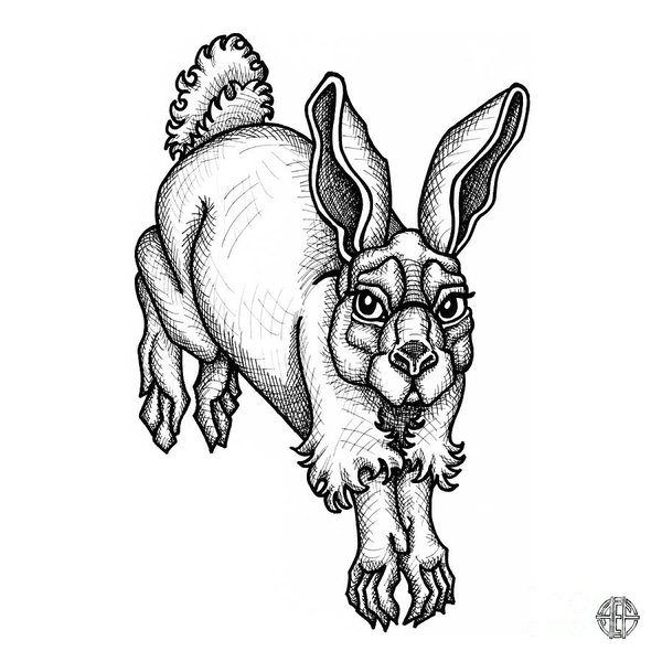 600x600 Bunny Rabbits Drawings