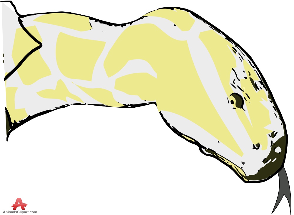 Burmese Python Drawing | Free download on ClipArtMag