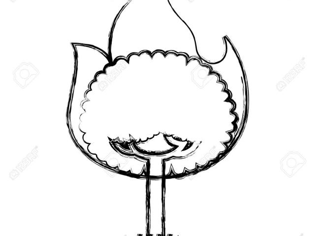 640x480 Free Burn Clipart, Download Free Clip Art