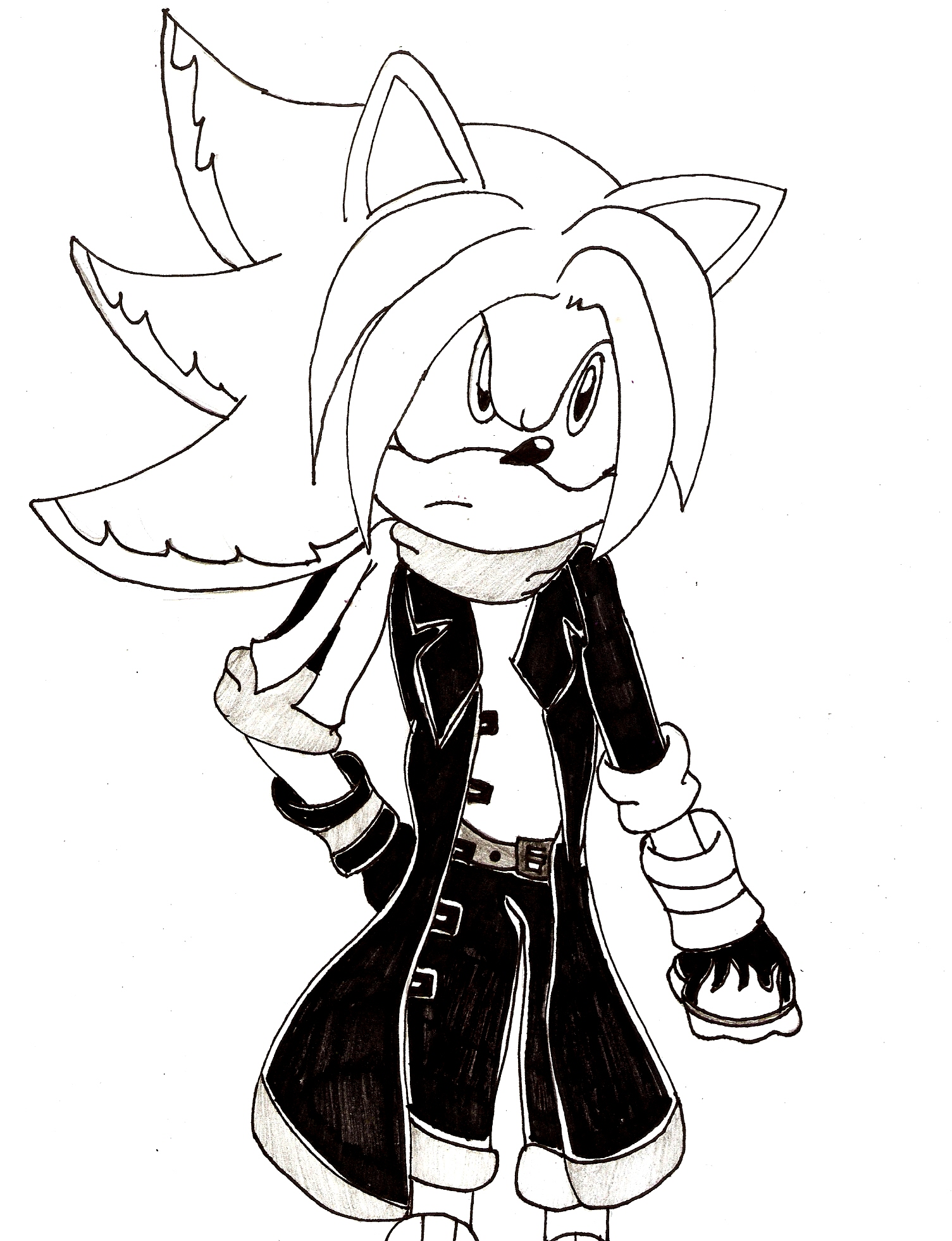 1505x1962 Burn The Hedgehog Sonic Fanon Wiki Fandom Powered