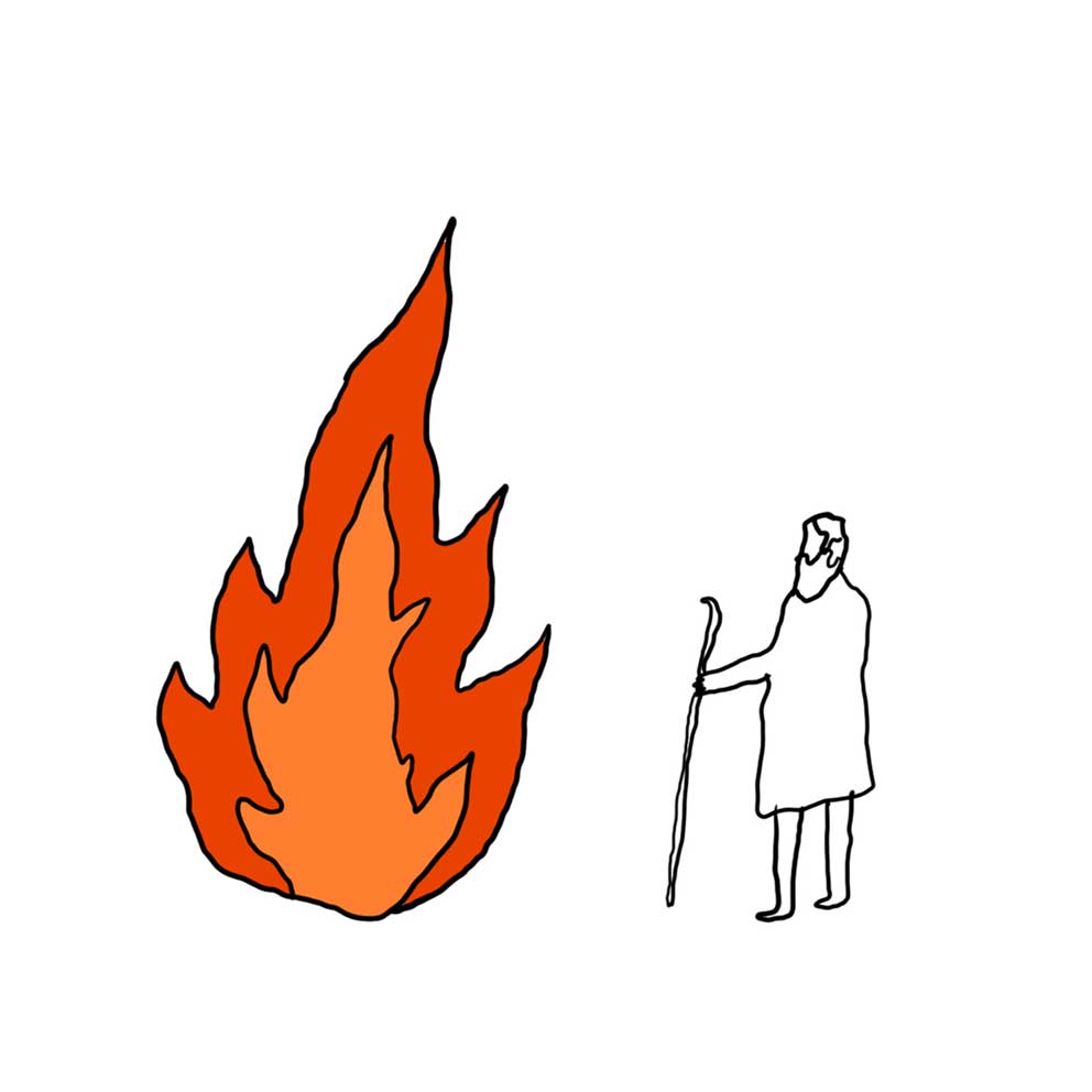 992x992 Burning Bush Archives