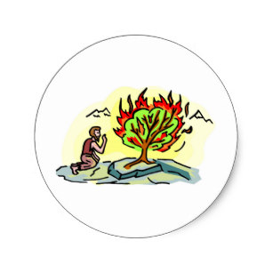 307x307 Burning Bush Stickers Zazzle