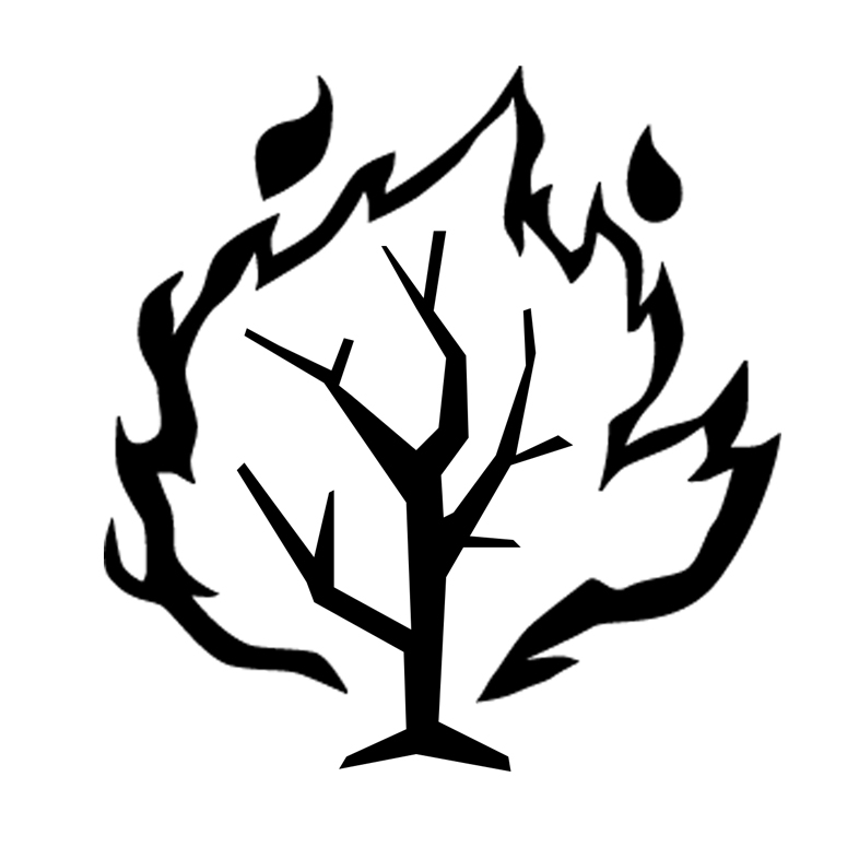 786x786 Fast Track Chapter The Beginning