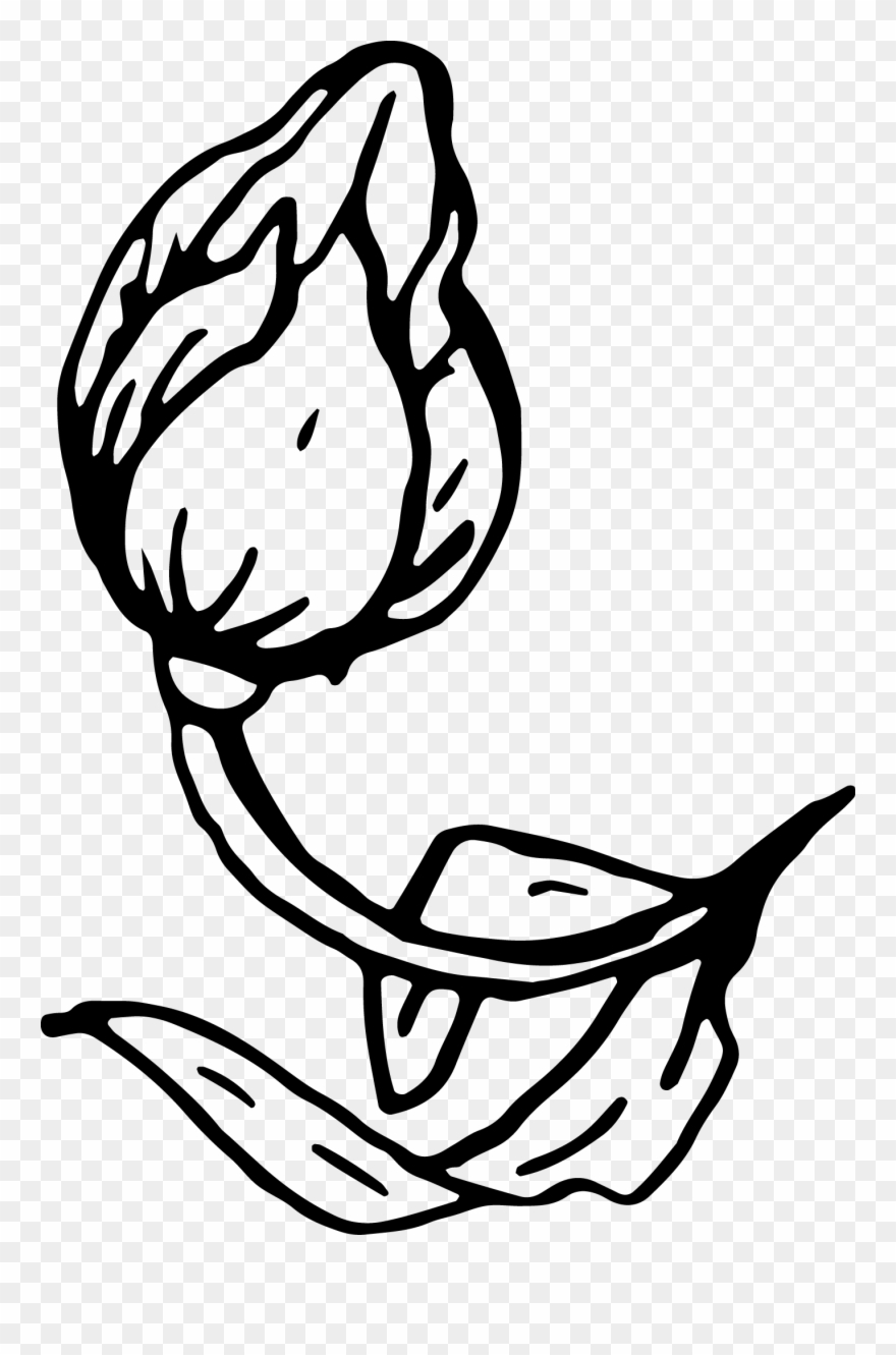 880x1331 Moses Burning Bush Clipart