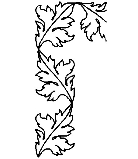 454x525 Burning Bush Border