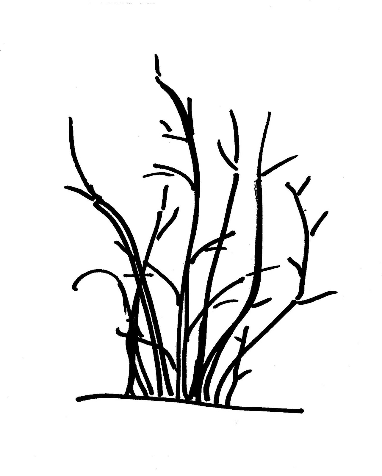 1284x1600 Bush Drawing Twig For Free Download