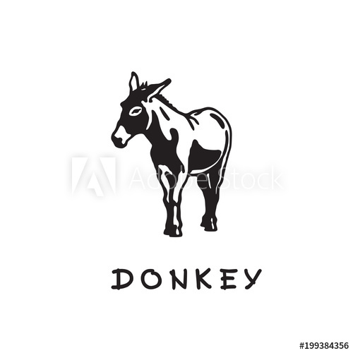 500x500 Donkey