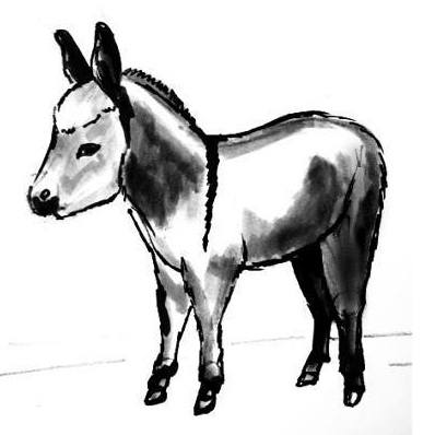 398x398 Donkey