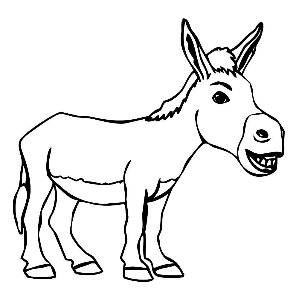 1000x1000 Donkey Cartoon Drawing In Steps With Photoshop