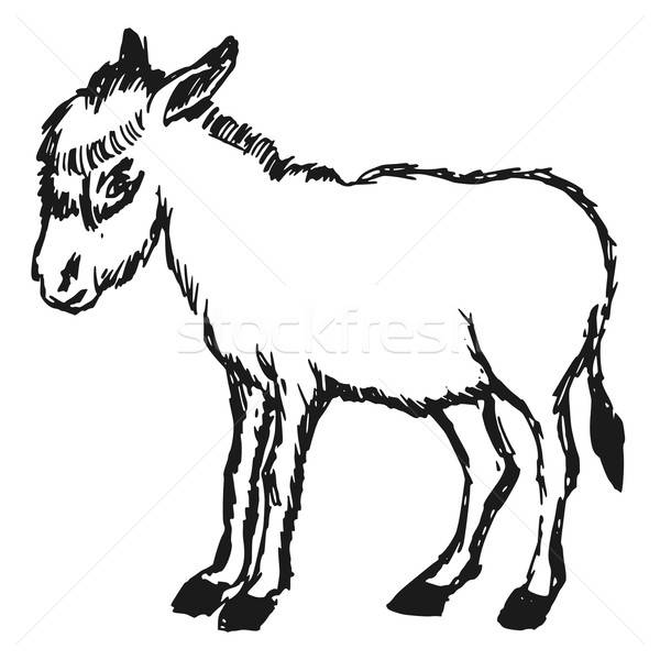 600x600 Donkey Stock Photos, Stock Images And Vectors Stockfresh