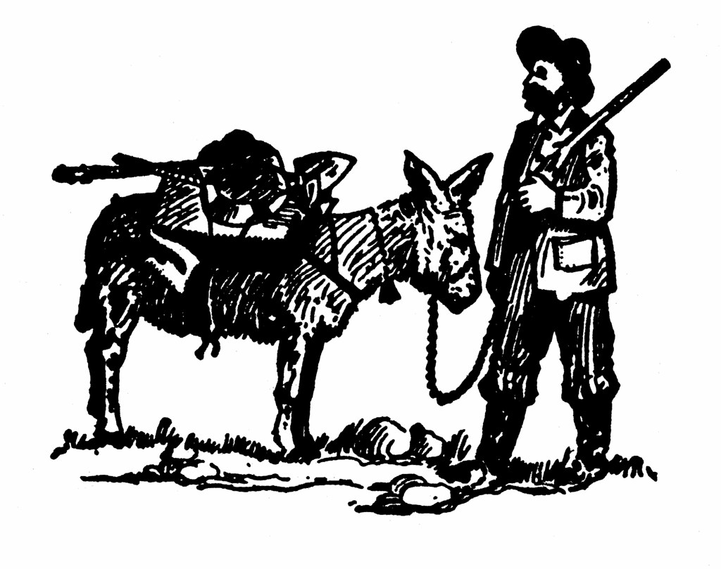 1024x809 the world's best photos of burro and drawing