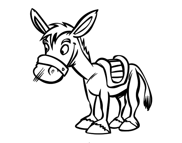 600x470 burro para colorear