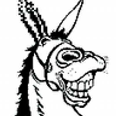 400x400 digital burro