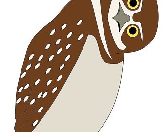 340x270 Burrowing Owl Etsy