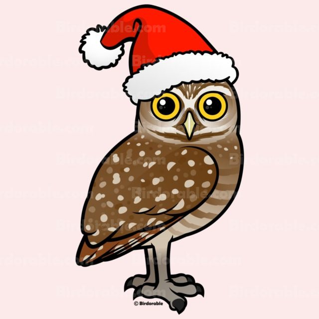 640x640 Cute Gifts Featuring Cartoon Burrowing Owl As Santa