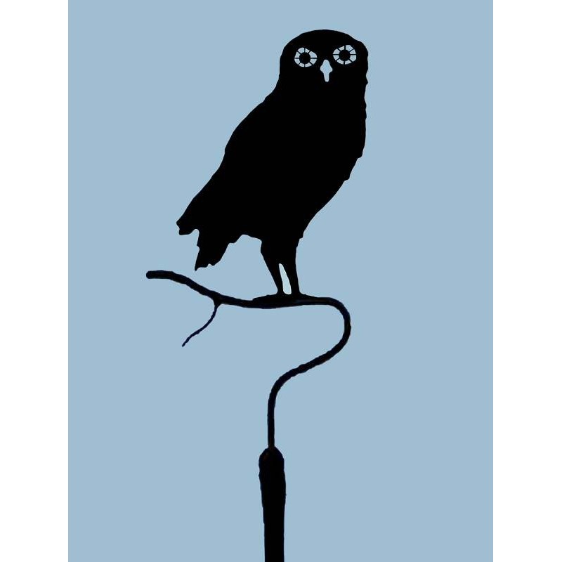 800x800 European Burrowing Owls Windvane