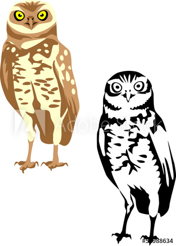 357x500 Burrowing Owl